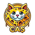 Logo de Cascoin